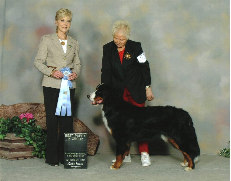 Best of Breed
